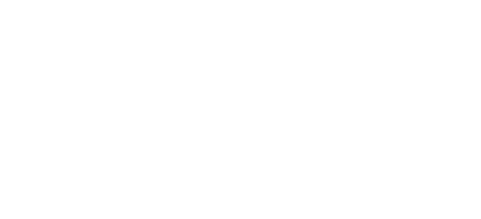 Wildlife Studios